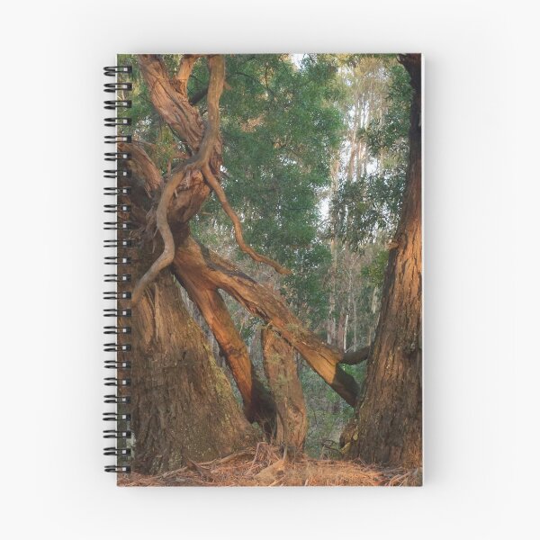 Item preview, Evening Light designed and sold by Michelle Thompson.