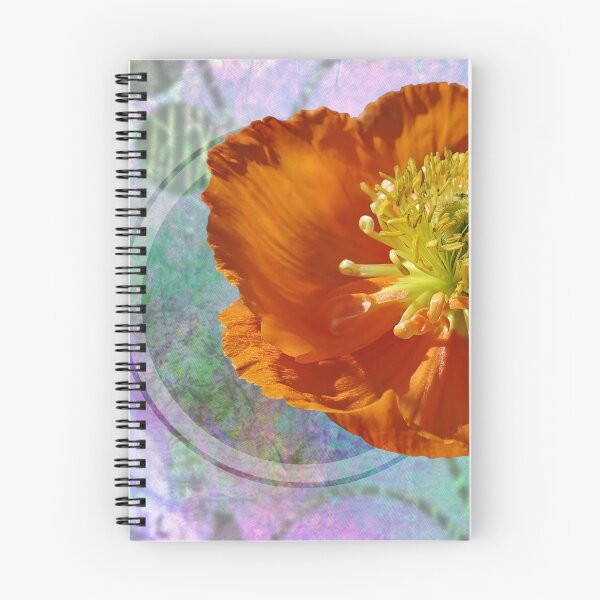 Item preview, delicate flower designed and sold by Aquila Light Pictures.