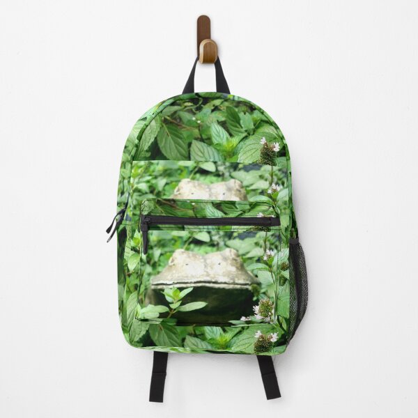 Item preview, Frog Peeking out of Greenery designed and sold by AllysiaAltck.