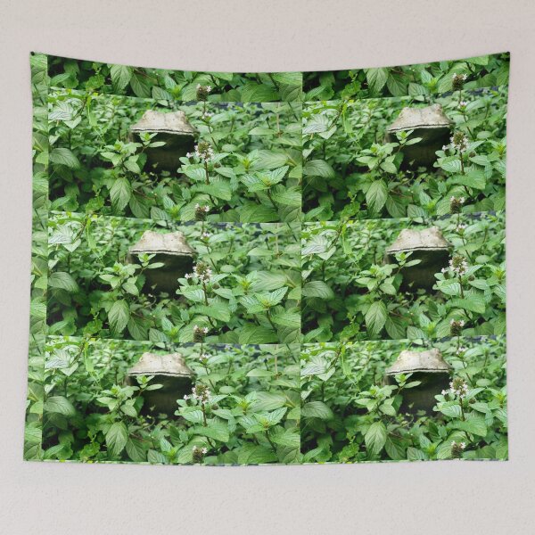 Item preview, Frog Peeking out of Greenery designed and sold by AllysiaAltck.