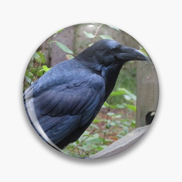 Item preview, Raven Perching designed and sold by sharkbait83.