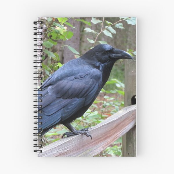 Item preview, Raven Perching designed and sold by sharkbait83.
