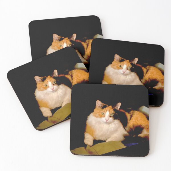 Item preview, Clothing Cat - Calico designed and sold by TmartUS.