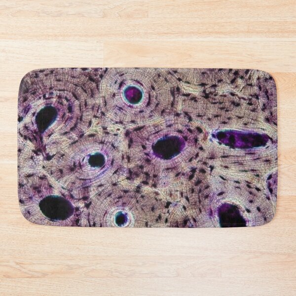 Item preview, Cross Section of Compact Bone designed and sold by ACH-Designs.