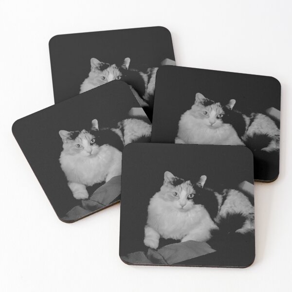 Item preview, Clothing Cat - Calico (in black and white) designed and sold by TmartUS.