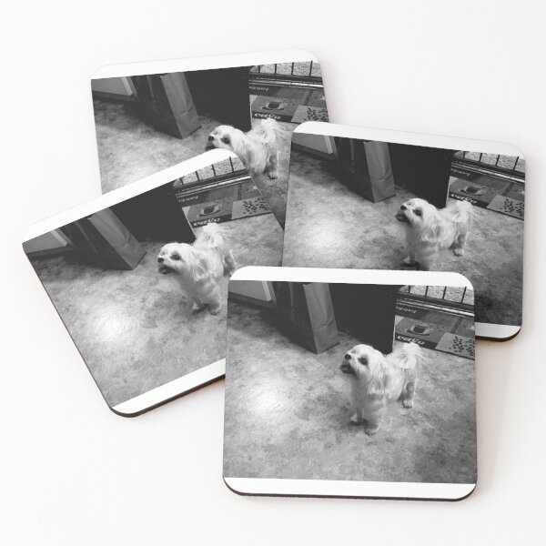 Item preview, Maltese in the Kitchen (in black and white) designed and sold by TM Art.