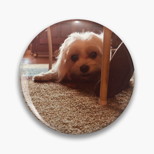 Item preview, Maltese at Play designed and sold by TmartUS.