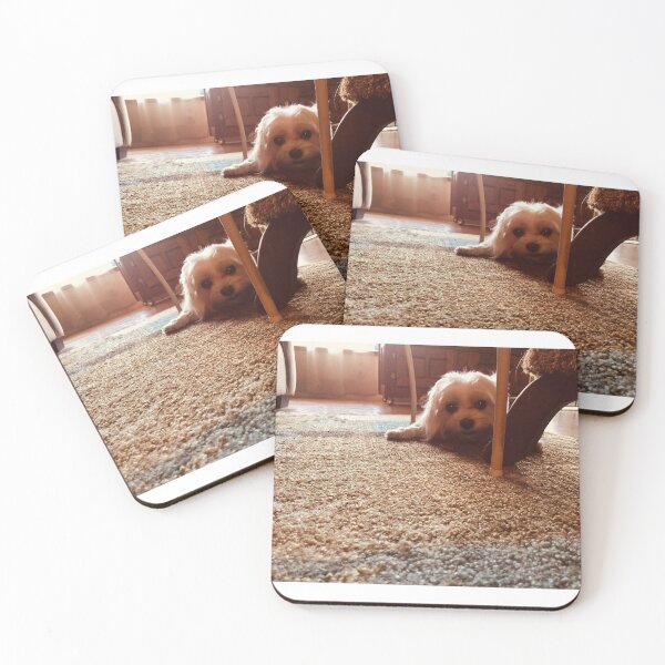 Item preview, Maltese at Play designed and sold by TmartUS.