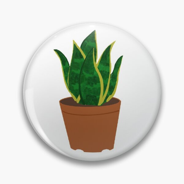 Item preview, Snake Plant,SANSEVIERIA HAHNII ,ikea,covid-19,mask,plant,cute plant,Sansevieria designed and sold by bow00wod.