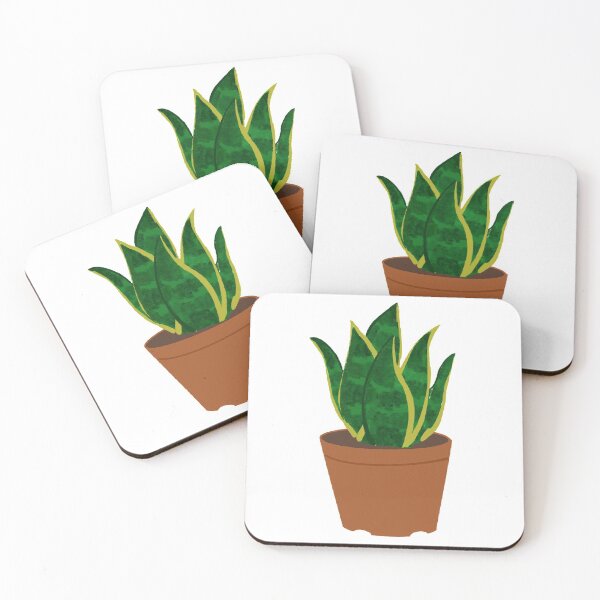 Item preview, Snake Plant,SANSEVIERIA HAHNII ,ikea,covid-19,mask,plant,cute plant,Sansevieria designed and sold by bow00wod.