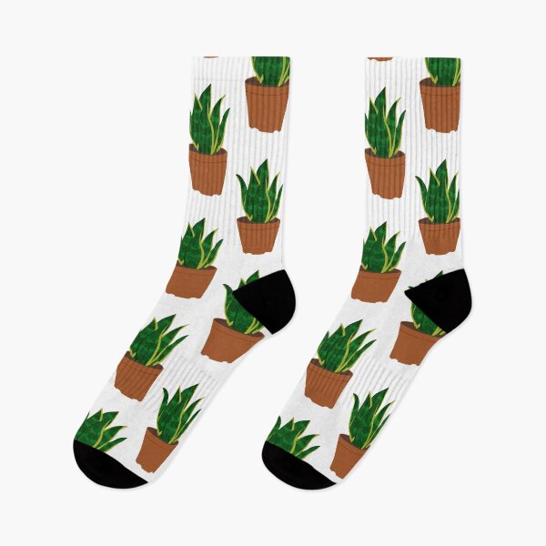 Item preview, Snake Plant,SANSEVIERIA HAHNII ,ikea,covid-19,mask,plant,cute plant,Sansevieria designed and sold by bow00wod.
