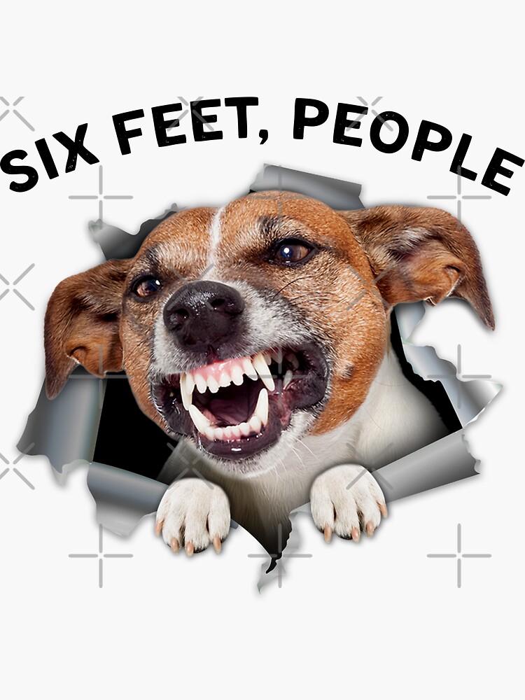 Jack 2024 russell feet