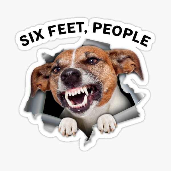 Jack Russell Terrier Stickers for Sale