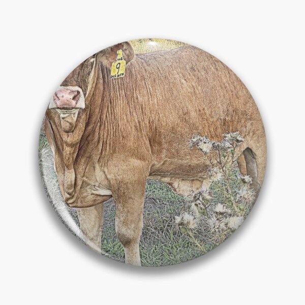 Item preview, BRANGUS X LIMOUSIN BULL CALF ,WOMBAT  designed and sold by Opalbluerose.