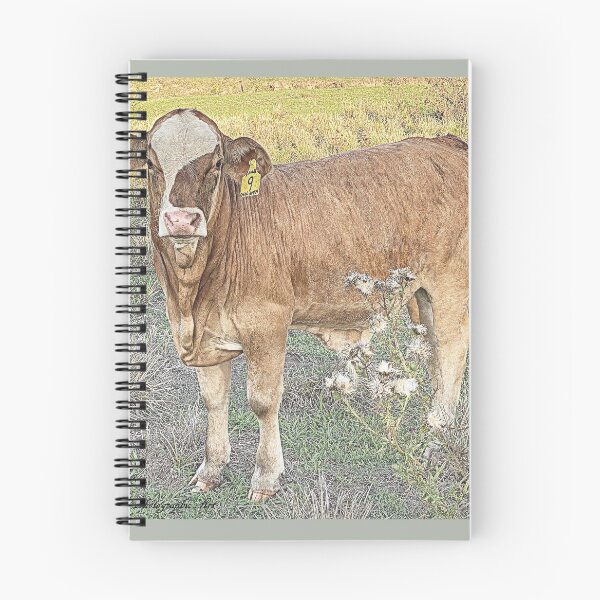 Item preview, BRANGUS X LIMOUSIN BULL CALF ,WOMBAT  designed and sold by Opalbluerose.