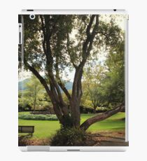 Peaceful iPad Case/Skin