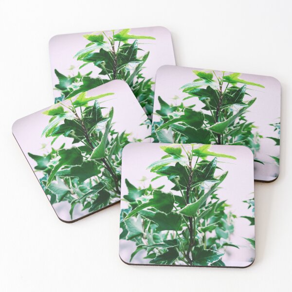 Item preview, Variegated English Ivy designed and sold by grdnstplantmom.