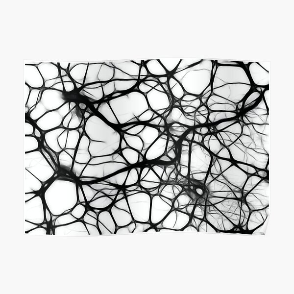 Neurons Poster