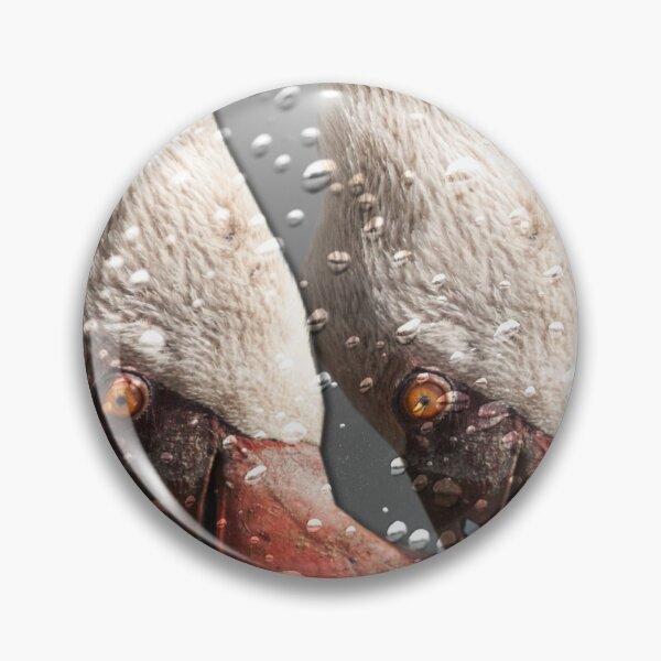 Item preview, Flamingos eating designed and sold by Ingo Gerlach.