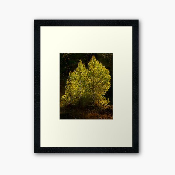 Item preview, Tree Family designed and sold by Ralph Goldsmith.