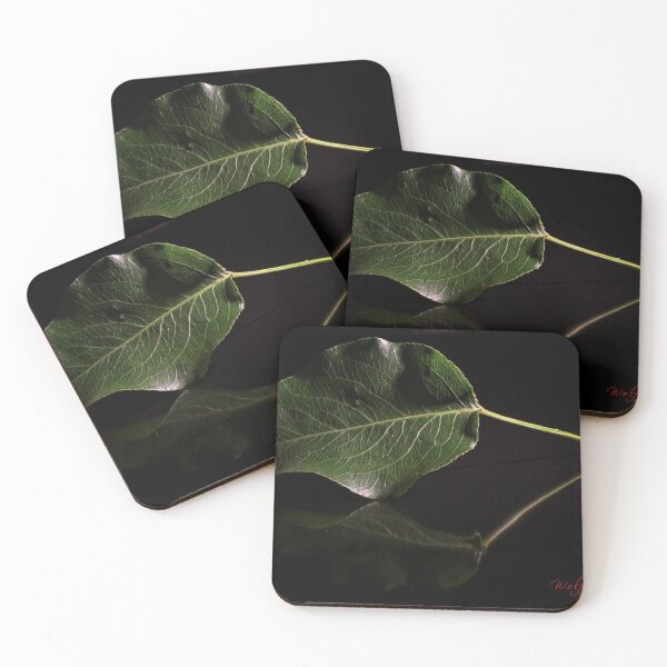 Item preview, Come closer and have a look (2) designed and sold by Wolf Sverak Photography.
