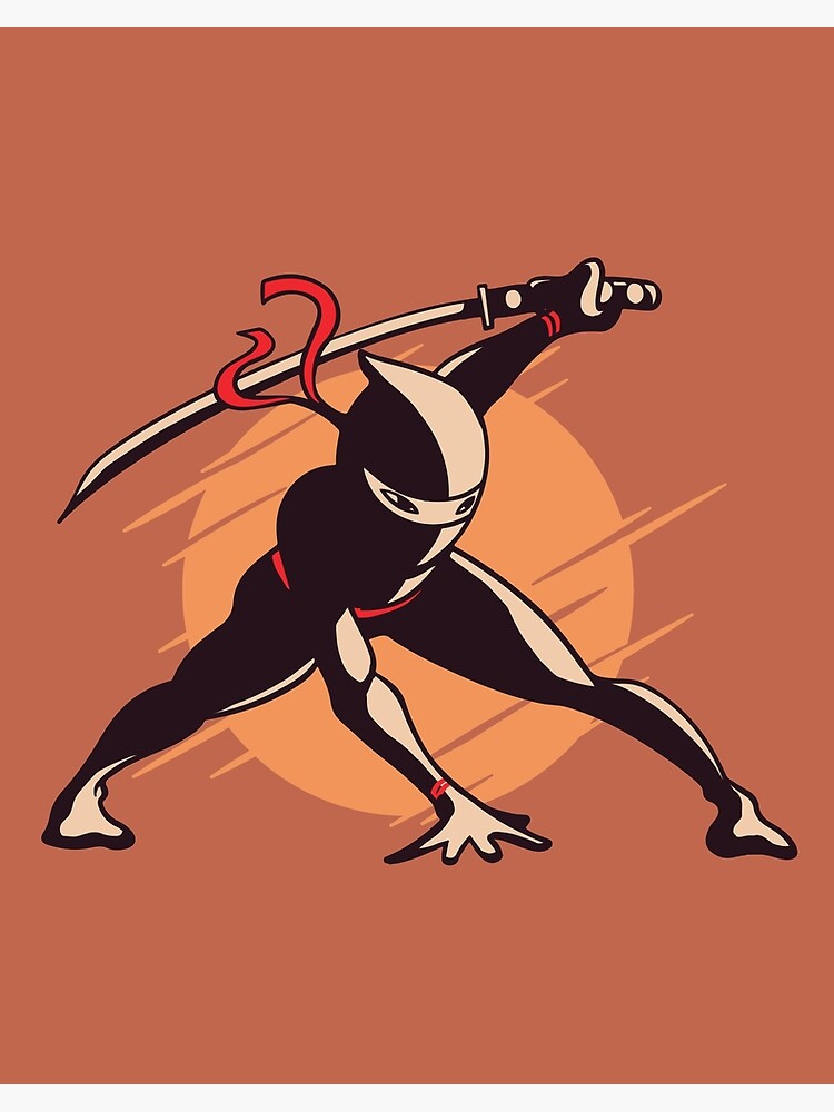 Assassin Ninja Warrior