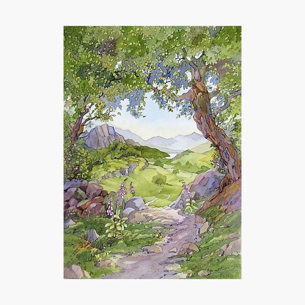Crabapple, Capel Curig Photographic Print