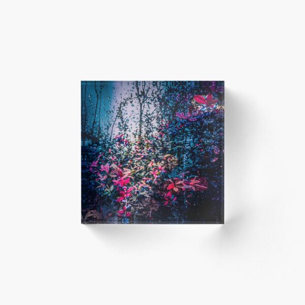 Haunted forest in the rain Acrylic Block