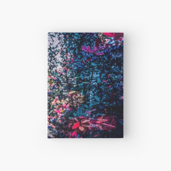Haunted forest in the rain Hardcover Journal