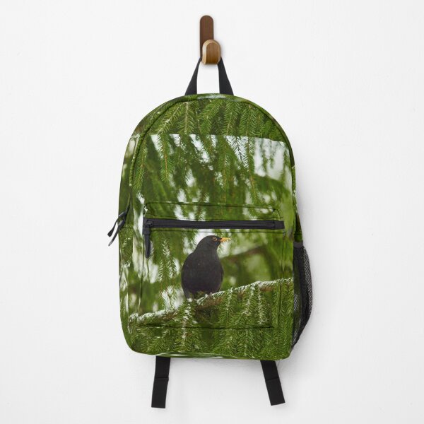 Item preview, Eurasian blackbird hiding in the spruce designed and sold by Jouko Lehto Photography.