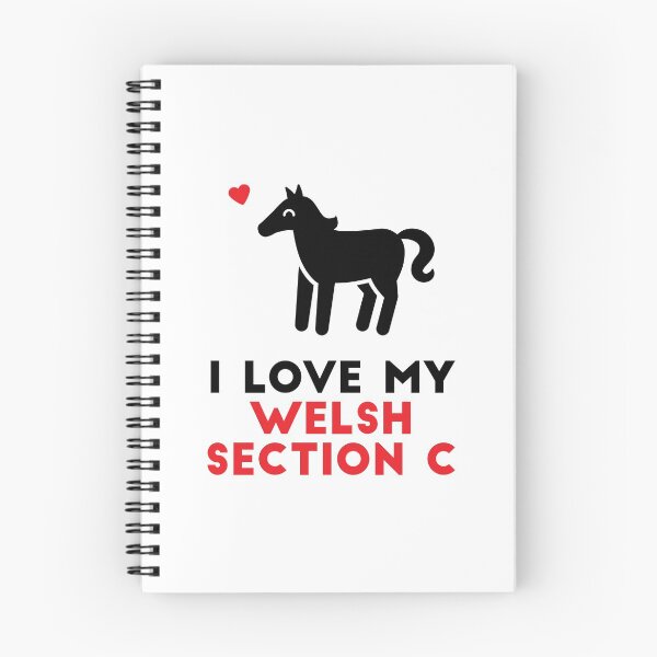 Item preview, I Love My Welsh Section C designed and sold by InkTheMoon.