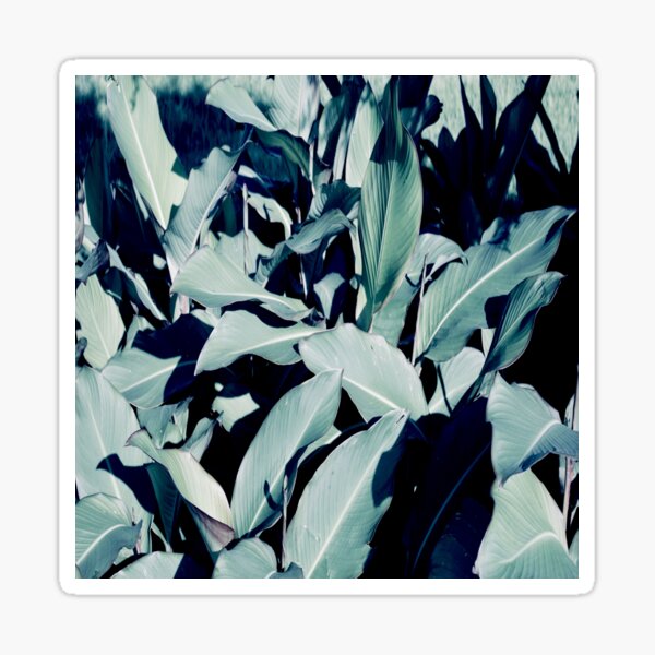 Botanical Gardens Sticker