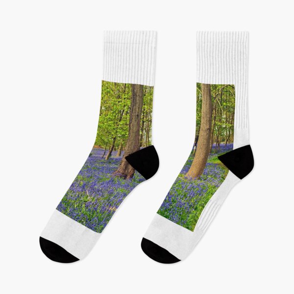 Item preview, Bluebells Bluebell Woods Greys Court Oxfordshire UK designed and sold by AndyEvansPhotos.