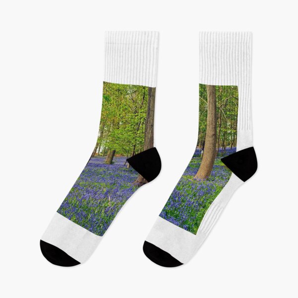 Item preview, Bluebells Bluebell Woods Greys Court Oxfordshire UK designed and sold by AndyEvansPhotos.