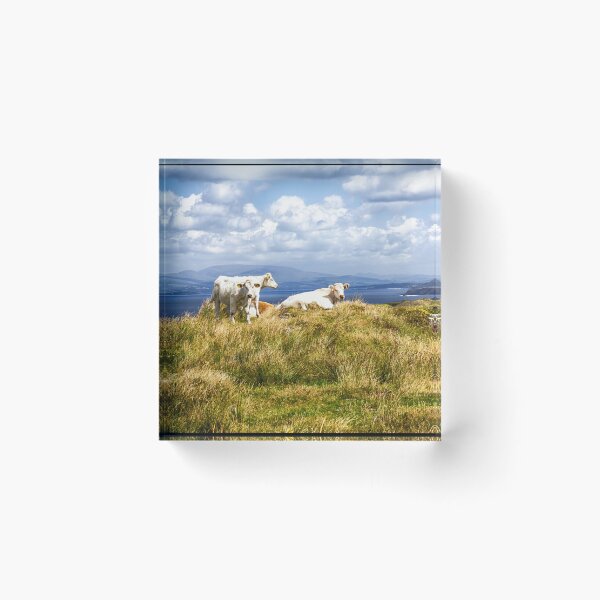 Item preview, Chillen Cows Beara Peninsula Kenmare Bay West Cork Mountain Seascape Art Print designed and sold by ROADTROOPER.