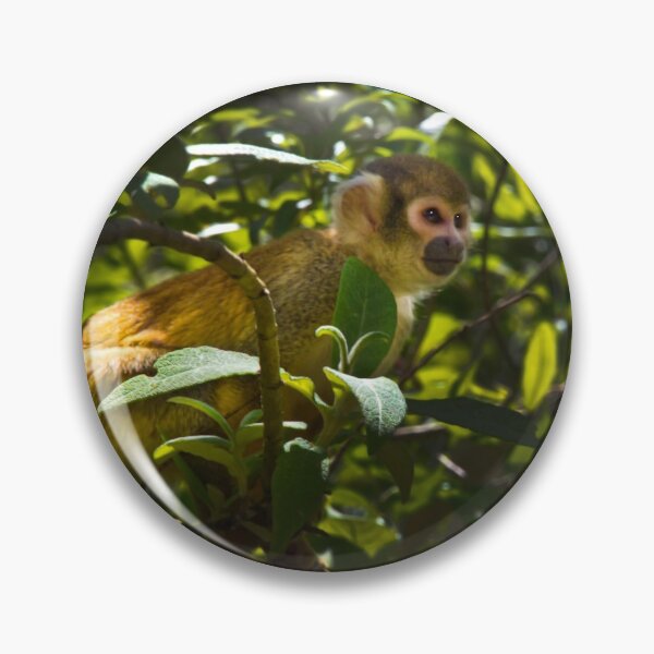 Item preview, Capuchin Monkey At Amaru II designed and sold by alabca.
