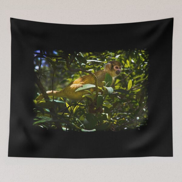 Item preview, Capuchin Monkey At Amaru II designed and sold by alabca.