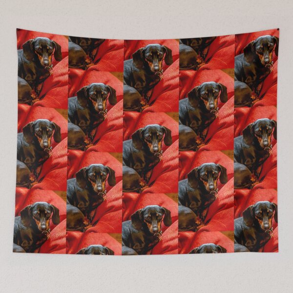 Item preview, Lady in Red designed and sold by Dalyndigital Photography.