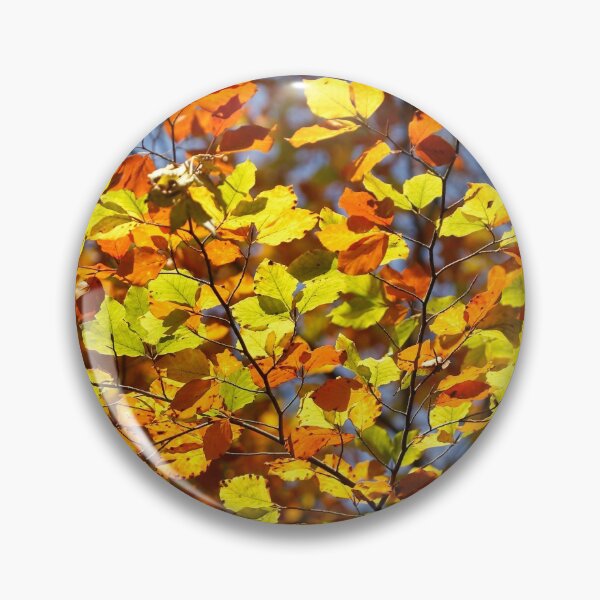Item preview, Brightly colored autumn leaves on a beech tree designed and sold by Torsten  Krüger.
