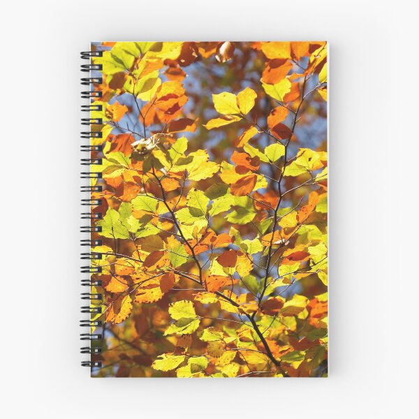 Item preview, Brightly colored autumn leaves on a beech tree designed and sold by Torsten  Krüger.