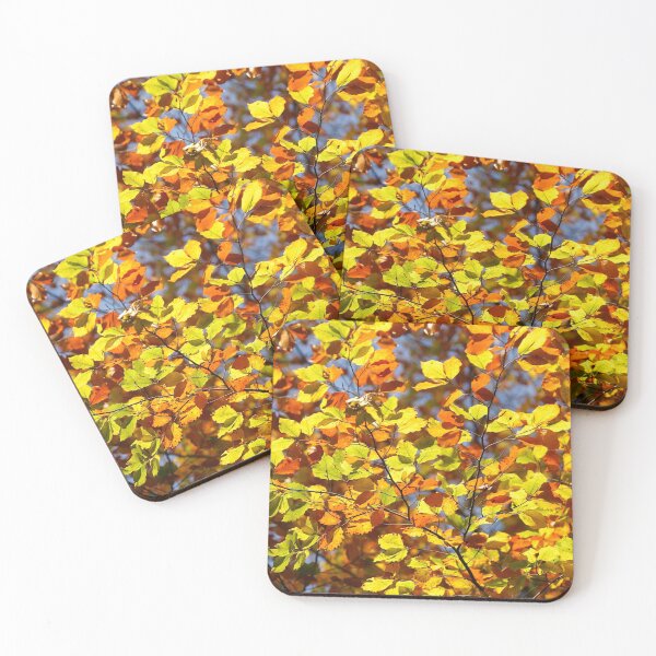 Item preview, Brightly colored autumn leaves on a beech tree designed and sold by Torsten  Krüger.