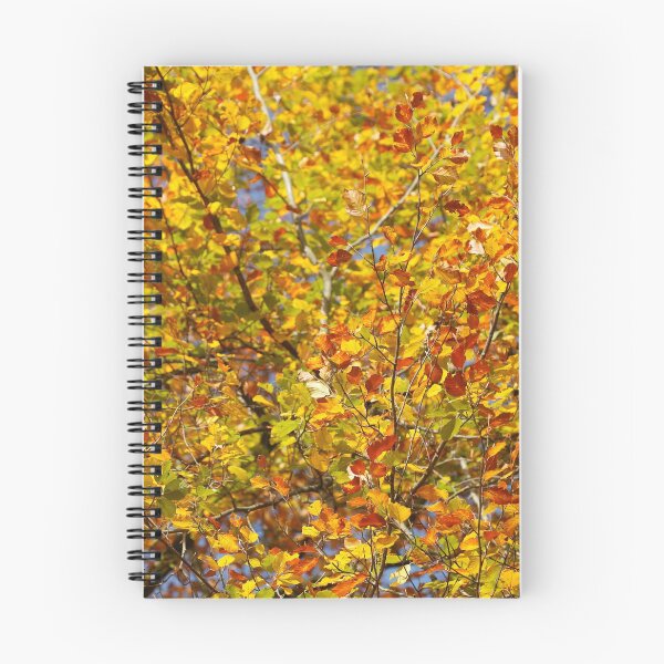 Item preview, Autumn leaves, leaf color, beech, tree designed and sold by Torsten  Krüger.