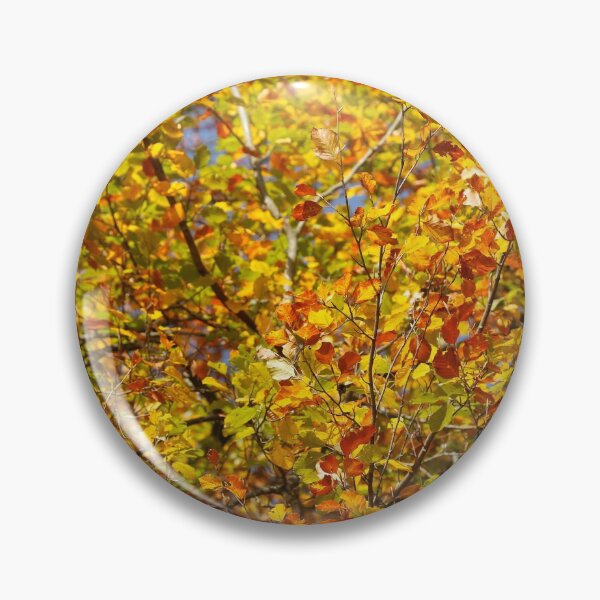 Item preview, Autumn leaves, leaf color, beech, tree designed and sold by Torsten  Krüger.