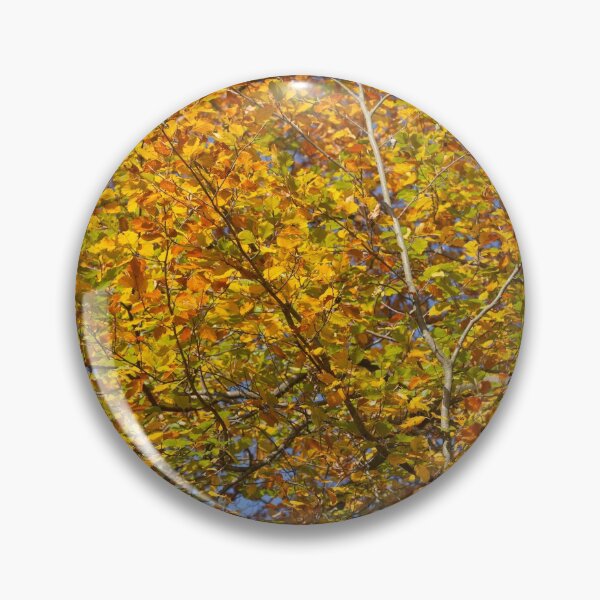 Item preview, Autumn leaves, leaf color, beech, tree designed and sold by Torsten  Krüger.