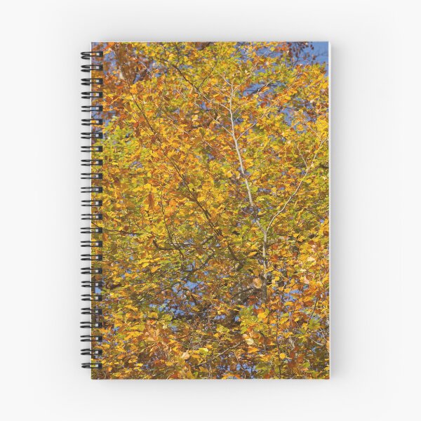 Item preview, Autumn leaves, leaf color, beech, tree designed and sold by Torsten  Krüger.