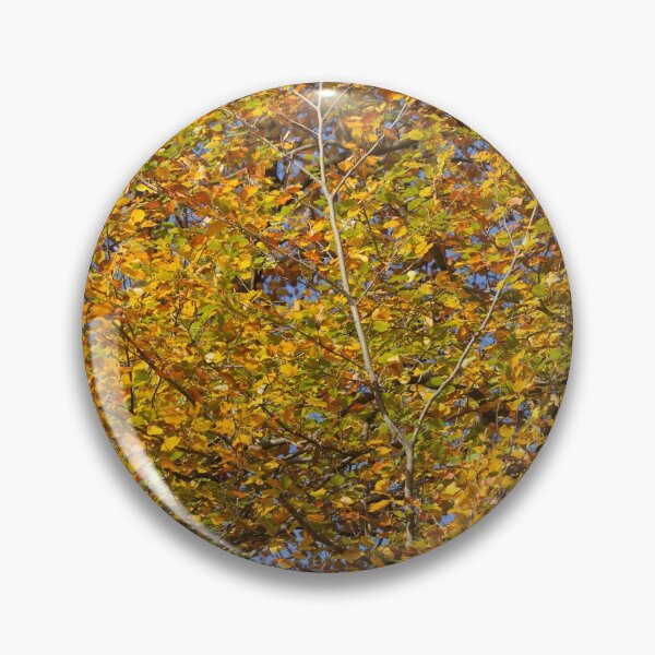 Item preview, Autumn leaves, leaf color, beech, tree designed and sold by Torsten  Krüger.