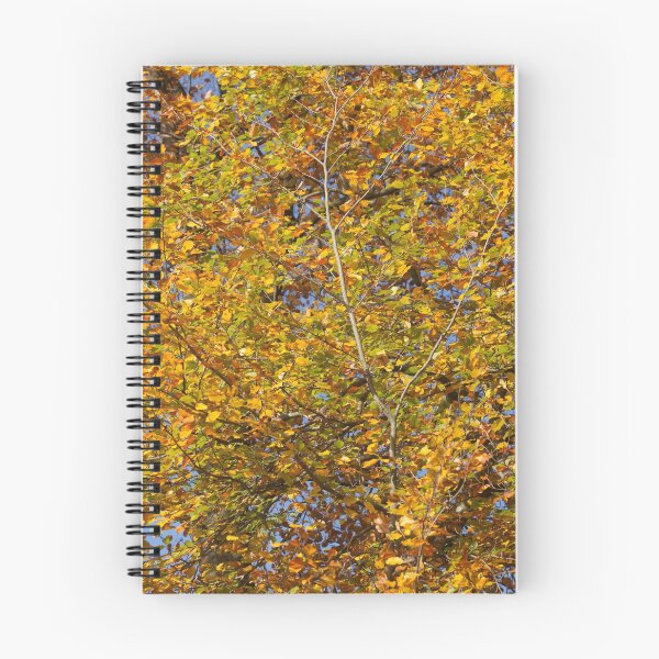 Item preview, Autumn leaves, leaf color, beech, tree designed and sold by Torsten  Krüger.