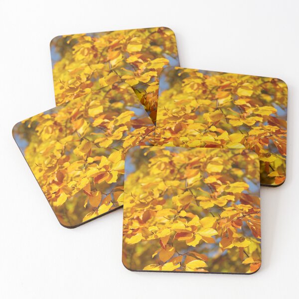 Item preview, Autumn leaves, leaf color, beech, tree designed and sold by Torsten  Krüger.