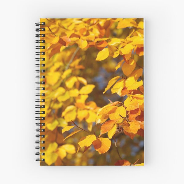 Item preview, Autumn leaves, leaf color, beech, tree designed and sold by Torsten  Krüger.