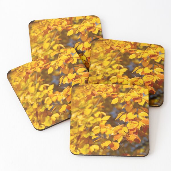 Item preview, Autumn leaves, leaf color, beech, tree designed and sold by Torsten  Krüger.